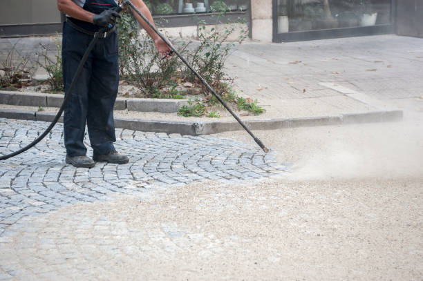 Best Dumpster Area Cleaning  in Larchmont, NY